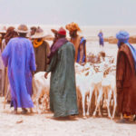 Marché de Youwarou Visages du Mali